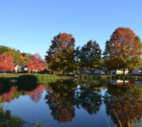 A lake or pond during Fall in Harrisonburg VA with changing leaves reflecting off the water